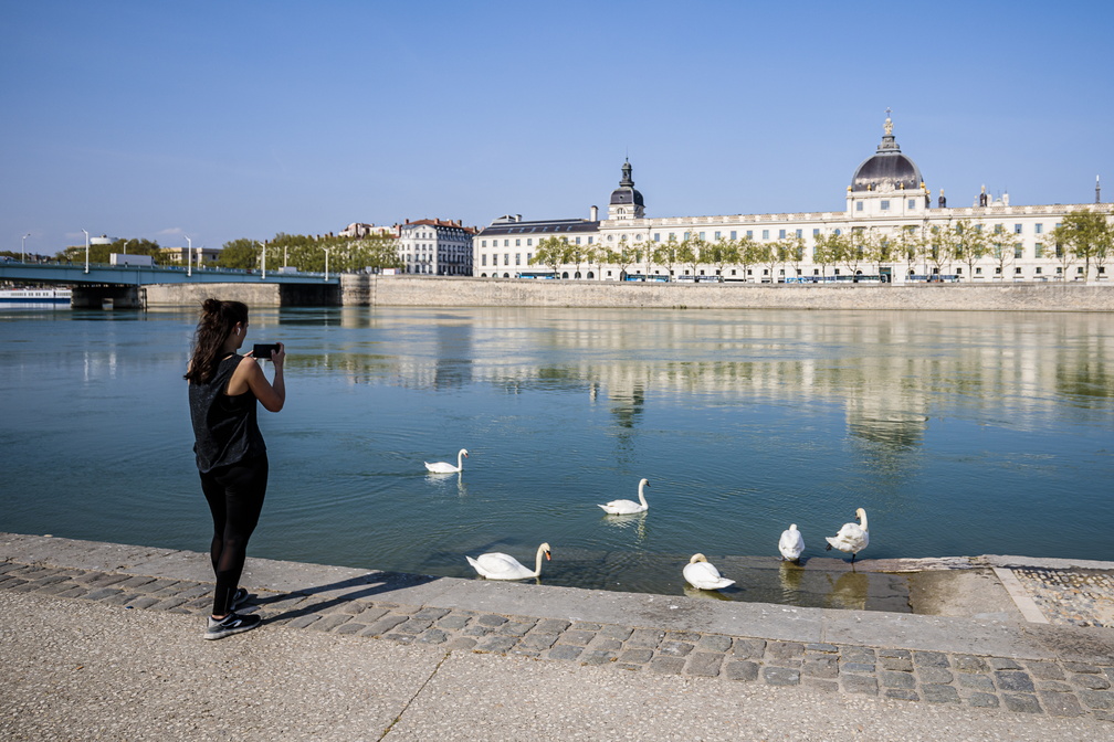 Grand Hotel-Dieu 前の Rhone 河畔